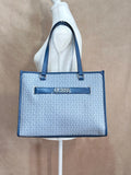 TOTE SILVANA - IMG_2030.JPG